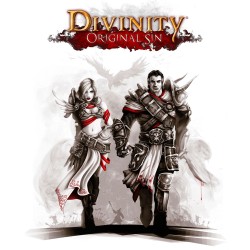 Divinity  Original Sin Enhanced Edition GOG Kod Klucz