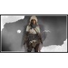 Rise of the Tomb Raider   The Sparrowhawk Pack DLC Steam Kod Klucz