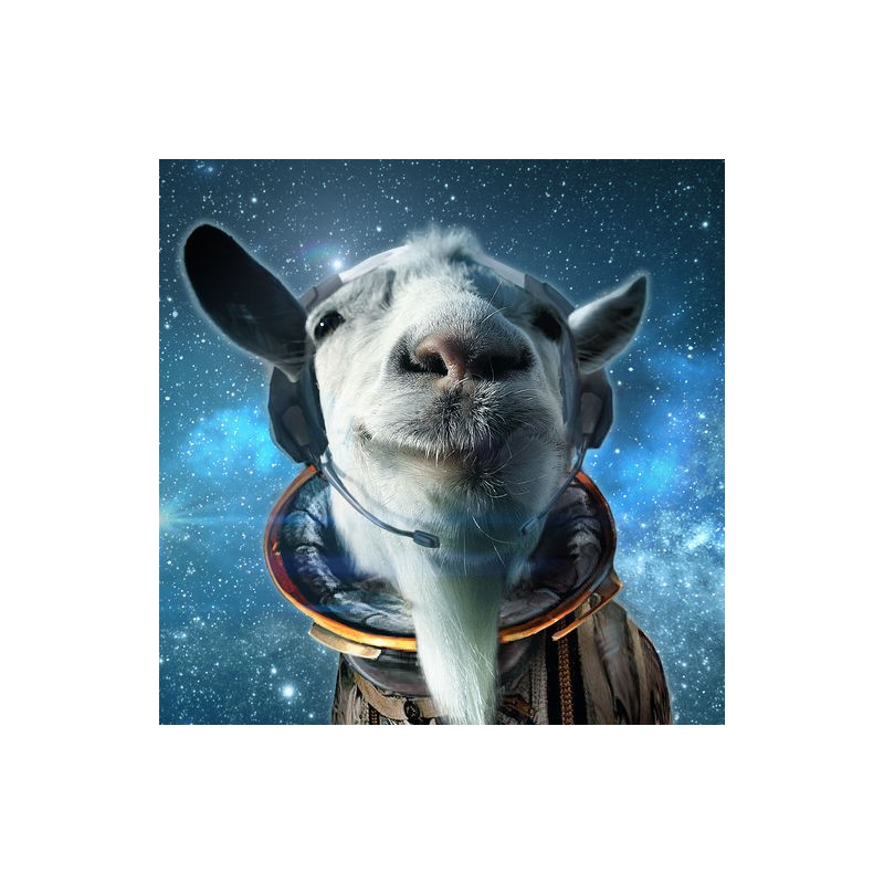 Goat Simulator   Waste of Space DLC Steam Kod Klucz