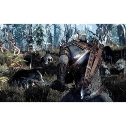 The Witcher 3  Wild Hunt GOTY Edition GOG Kod Klucz