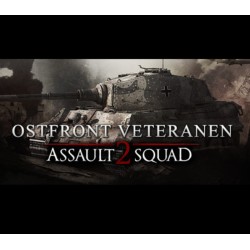 Men of War  Assault Squad 2   Ostfront Veteranen DLC Steam Kod Klucz