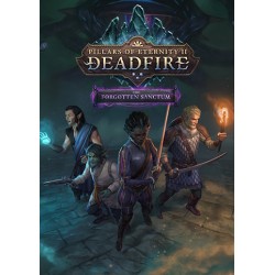 Pillars of Eternity II  Deadfire   The Forgotten Sanctum DLC Steam Kod Klucz