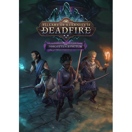 Pillars of Eternity II  Deadfire   The Forgotten Sanctum DLC Steam Kod Klucz