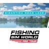 Fishing Sim World  Pro Tour   Gigantica Road Lake DLC Steam Kod Klucz