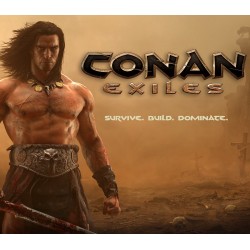 Conan Exiles   Year 1 DLC Bundle Steam Kod Klucz