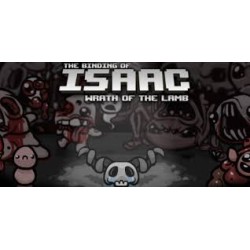 The Binding of Isaac + Wrath of the Lamb DLC Steam Kod Klucz