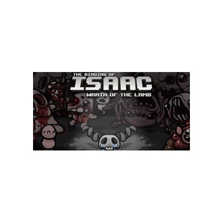 The Binding of Isaac + Wrath of the Lamb DLC Steam Kod Klucz