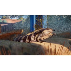 Planet Zoo   Australia Pack DLC Steam Kod Klucz