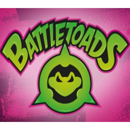 Battletoads XBOX One / Windows 10 Kod Klucz