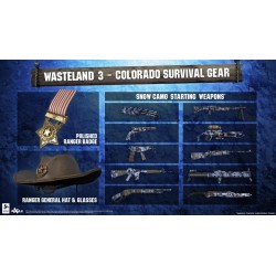 Wasteland 3   Colorado Survival Gear DLC   PS4 Kod Klucz
