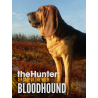 theHunter  Call of the Wild   Bloodhound DLC Steam Kod Klucz