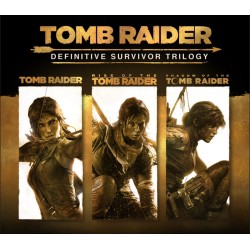 Tomb Raider  Definitive...