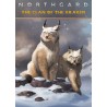 Northgard   Brundr and Kaelinn, Clan of the Lynx DLC Steam Kod Klucz