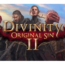 Divinity  Original Sin 1 + 2 Bundle GOG Kod Klucz