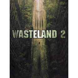 Wasteland 2  Directors Cut   XBOX One Kod Klucz