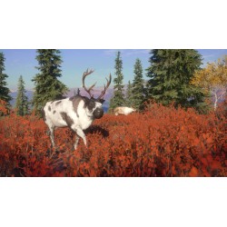 theHunter  Call of the Wild   Yukon Valley Steam Kod Klucz