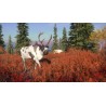 theHunter  Call of the Wild   Yukon Valley Steam Kod Klucz