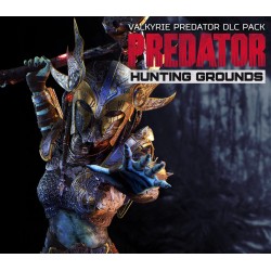 Predator  Hunting Grounds   Valkyrie Predator DLC Pack Steam Kod Klucz