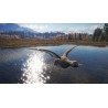 theHunter  Call of the Wild   Duck and Cover Pack DLC Steam Kod Klucz