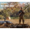 theHunter  Call of the Wild   Wild Goose Chase Gear DLC Steam Kod Klucz