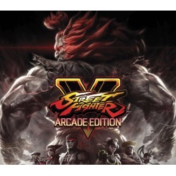 Street Fighter V  Arcade Edition Character Pass 1 + 2 Bundle DLC   PS4 Kod Klucz