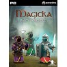 Magicka   Party Robes DLC Steam Kod Klucz