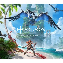 Horizon Forbidden West   PS5 Kod Klucz