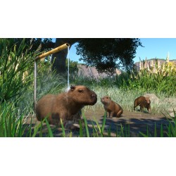 Planet Zoo   Wetlands Animal Pack DLC Steam Kod Klucz