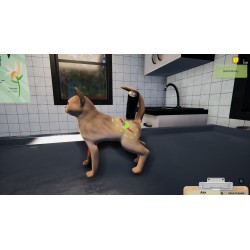 Animal Shelter   Puppies and Kittens DLC Steam Kod Klucz