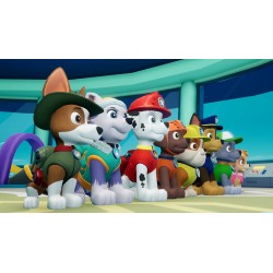 PAW Patrol  On A Roll!   Nintendo Switch Kod Klucz