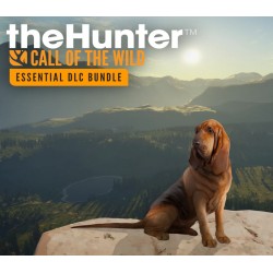 theHunter  Call of the Wild   Essentials DLC Bundle Steam Kod Klucz