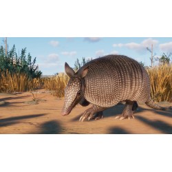 Planet Zoo   Grasslands Animal Pack DLC Steam Kod Klucz