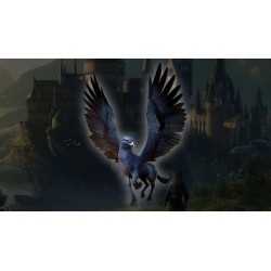 Hogwarts Legacy   Onyx Hippogriff Mount DLC   PS5 Kod Klucz