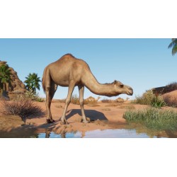 Planet Zoo   Arid Animal Pack DLC Steam Kod Klucz