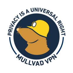Mullvad VPN 6 miesięcy kod...
