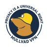 Mullvad VPN 6 miesięcy kod aktywacyjny
