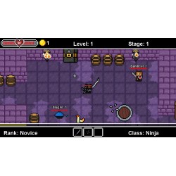 Dungeon Arena   Class Ninja DLC Steam Kod Klucz