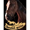 My Horse  Bonded Spirits PC Steam Kod Klucz