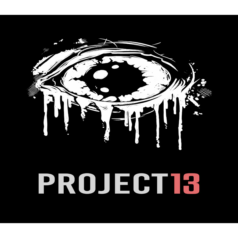 Project 13   PS5 Kod Klucz