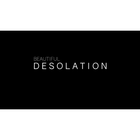 BEAUTIFUL DESOLATION   PC Steam Kod Klucz