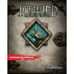 Icewind Dale  Enhanced Edition GOG Kod Klucz