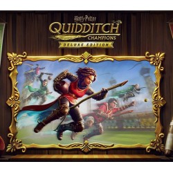 Harry Potter  Quidditch Champions Deluxe Edition   PC Steam Kod Klucz