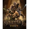 Gauntlet   Slayer Edition   PC Steam Kod Klucz