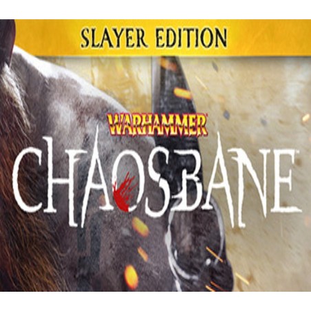 Warhammer  Chaosbane Slayer Edition   PC Steam Kod Klucz